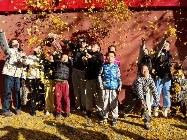 彩叶映红墙，景山公园迎来绚烂的最佳观赏期