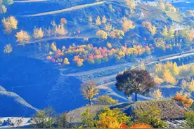 庆阳，可太值得去了图片