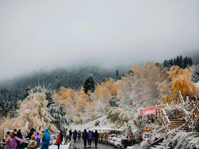 天山柔雪落，静听一池秋