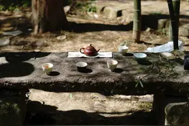 慧苑吃茶｜清香似旧时……图片