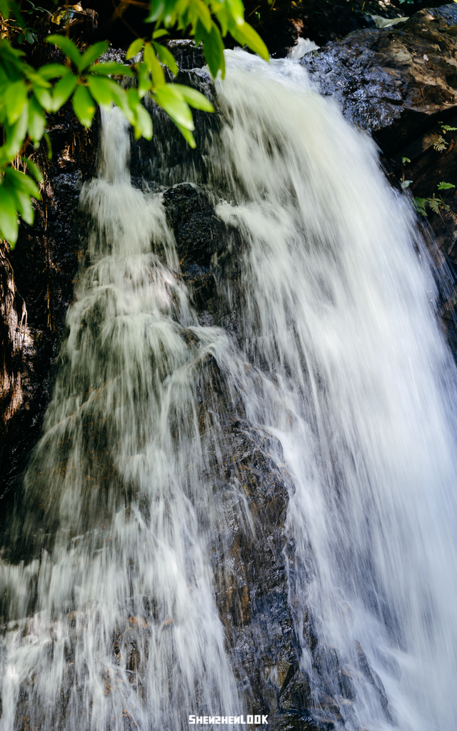 深圳湾的夜景再次升级 · 周末游玩指南