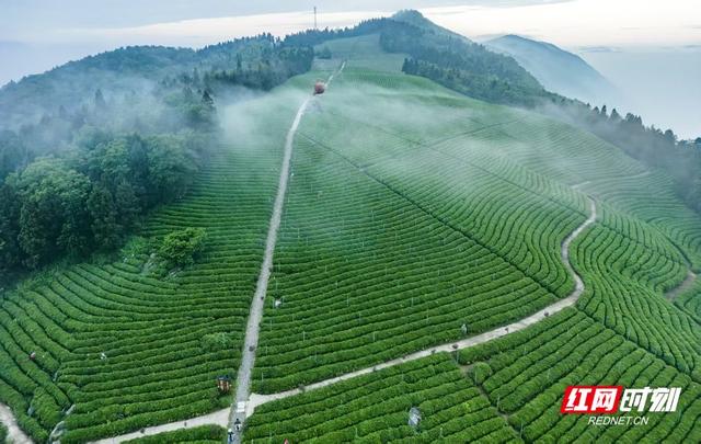 石门洞开，山水含章丨我们奔县吧·石门县篇