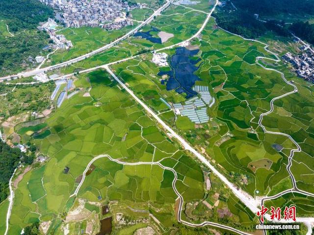 贵州从江：夏日田园景色美