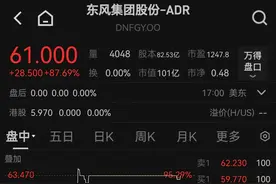 东风集团股份突然宣布：股票市值太低，将退市！集团上半年净利润下滑超90%，岚图汽车将独立在港股上市图片