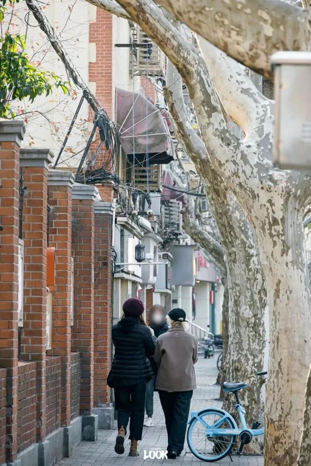 冬日打开指南！去愚园路静安段逛街→