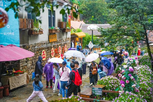 首创“赌雨”活动，红叶柿岩“抢得”20000名游客
