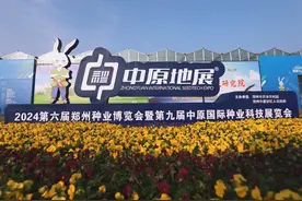 6000多个新优品种！一起打卡这场开在田埂上的蔬菜博览会图片