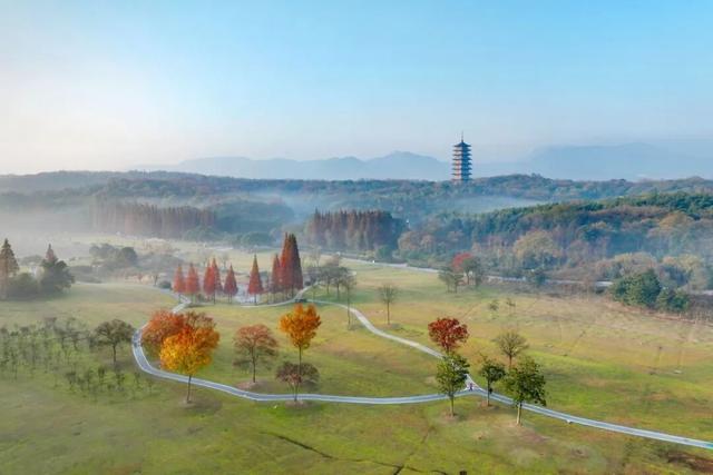 现在的宜兴，已经美成这样了……