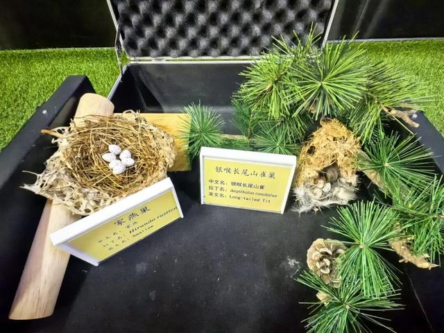 自然教育丨天坛公园生态科普教育模式的探索与实践