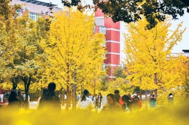 秋染长安色斑斓　霜落成诗醉流年