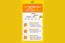 力度比去年更大、商品丰富度创新高，飞猪双11升级为“全球旅行节”图片