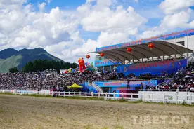 2023拉萨赛马大会：马背上的“速度与激情”图片