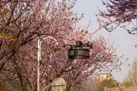 鹤壁樱花季藏“黑科技”！无人机解锁低空安防新赛道图片