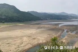 济南多个水库“喊渴”，专家：去年降水少导致，不影响喝水图片