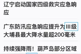Ⅳ级是几级？网友晕了，官方回应图片