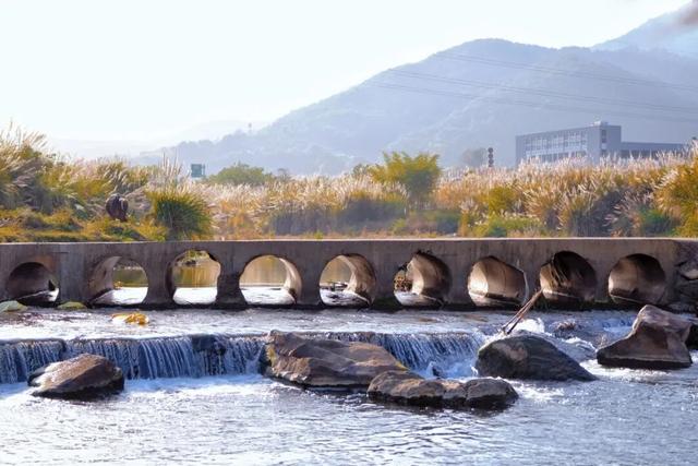 周末露营天花板，来福安“野” 一天！