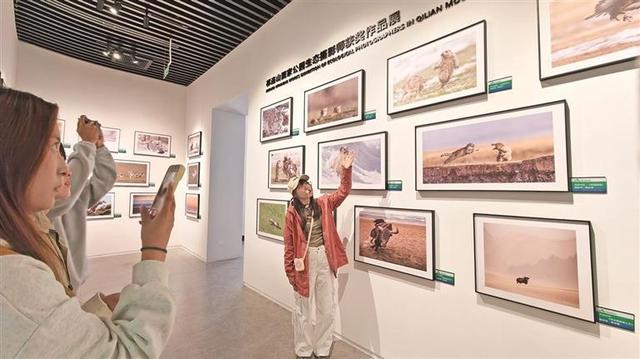 祁连山的昨天和今天 ——探访祁连山国家公园展陈中心大数据中心