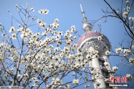 多地调整楼市限购：苏州全面取消，上海放开单身限制图片