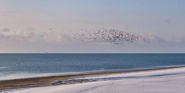初雪染南海 高铁赴雪约