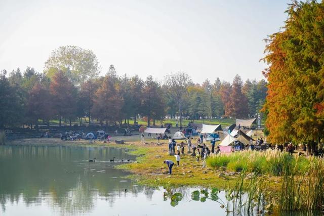 为什么？这儿有个咖啡节，这么火！