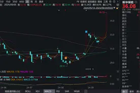 保险板块全线飘红 业内：投资端有利好消息，负债端有望延续高质量增长图片