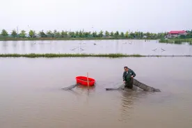 你好！新职业｜他以“新身份”为家乡出力图片