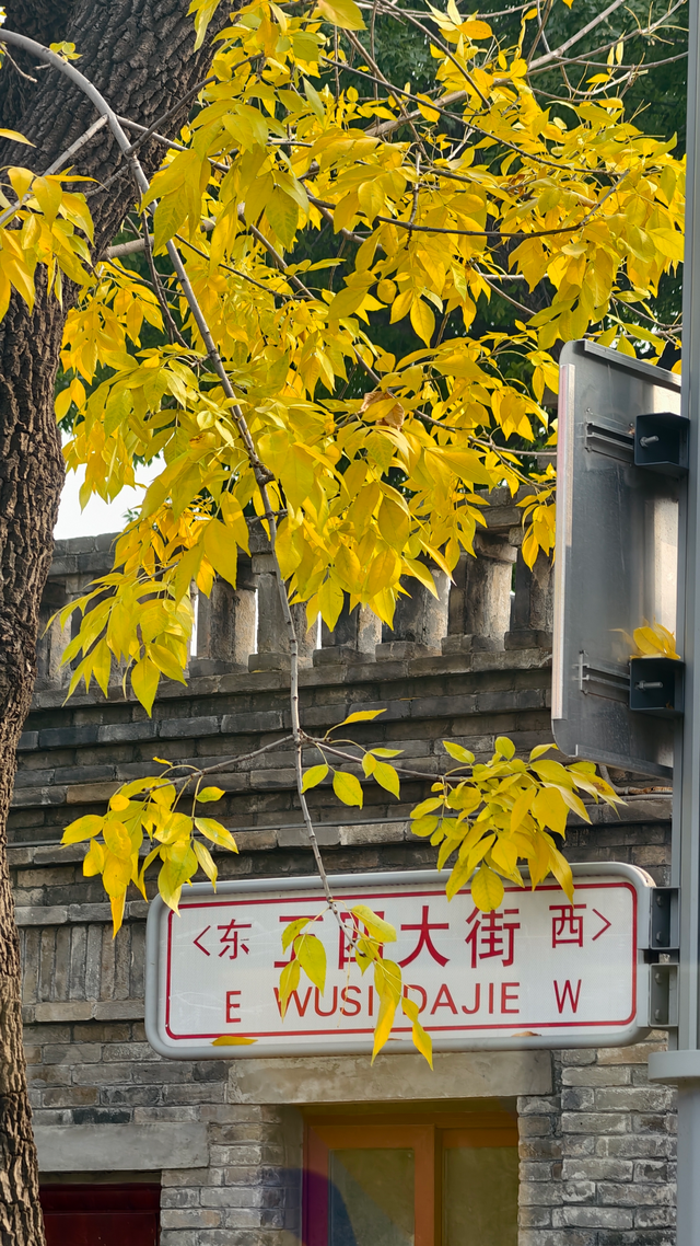 层林尽染时，邂逅北京的秋日斑斓