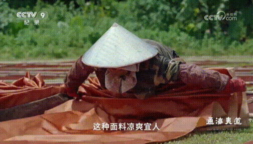 央视热播纪录片《珠江》中的南沙→