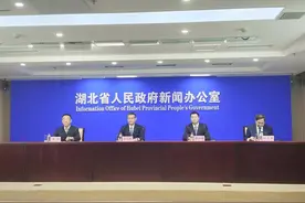 大批优质项目将借助楚商大会落户湖北，预计签约额比上届增三成图片
