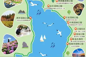 美好生活在云南｜昆明推出26个观鸥点、3条观鸥路线，快来“鸥”遇吧~图片