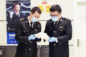 迪拜入境宁夏旅客行李中查获单体重量最大的濒危物种图片