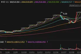 中百集团14天9板背后：业绩连年亏损，永辉超市清仓，同业竞争解决承诺四次延期图片