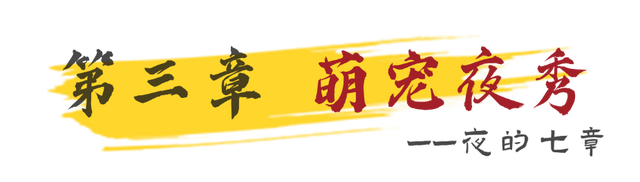 明月照西江，高明奇妙夜！国庆中秋夜的七章全剧透！
