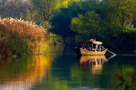 浙江多地官宣：明天免费、半价！图片