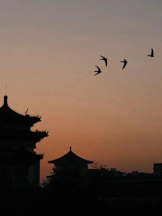 起猛了！西安地标集体变身?