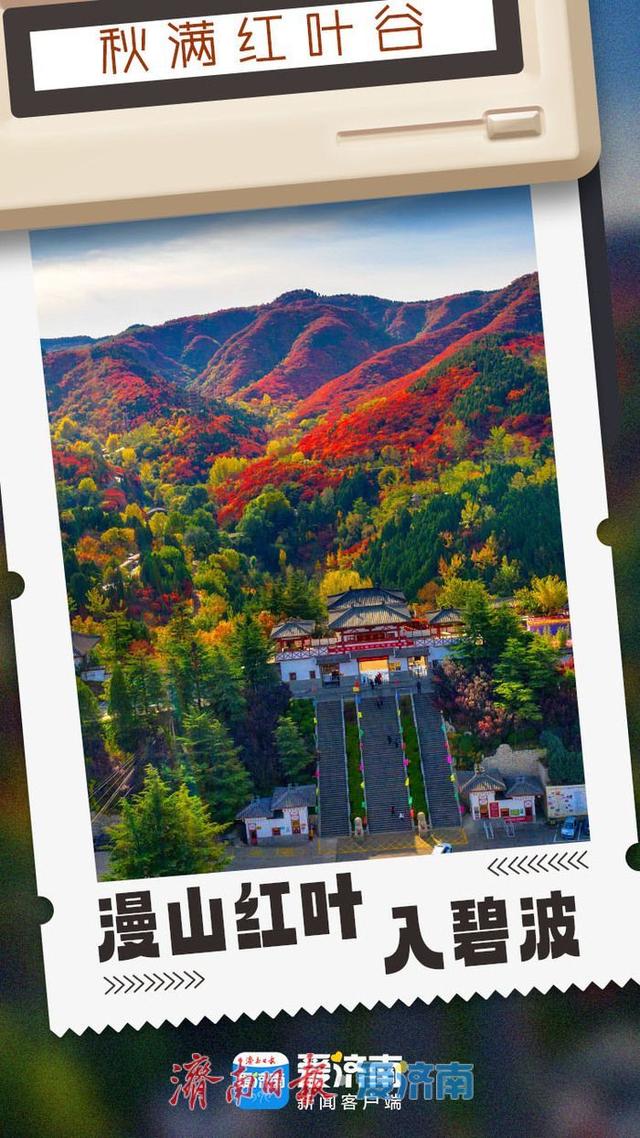海报合集│济南红叶谷剪映深秋最美时光