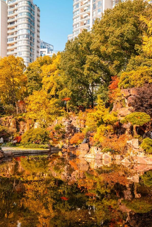红枫+瀑布！上海市中心免费“斑斓山谷”迎来最美秋景→