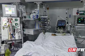 65岁男子重症肺炎险致命 元凶竟是“鹦鹉热”图片