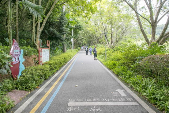 健身赏景两相宜！南宁这些“宝藏公园”等你来逛