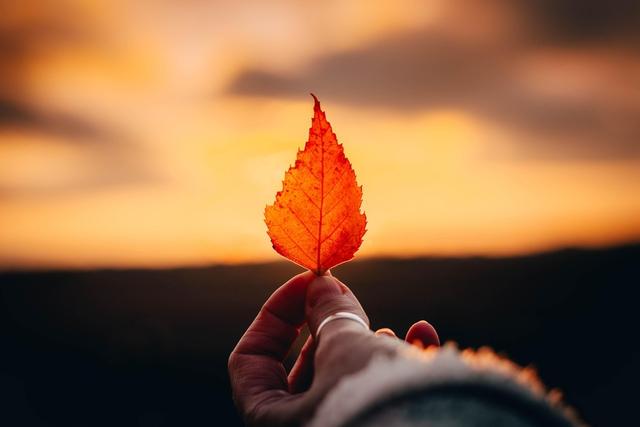 桑胜月：足不出“沪”环游世界