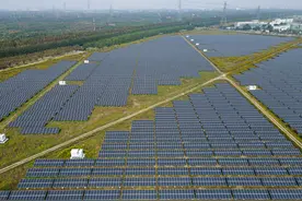 “困兽”光伏：喊话小企业低价投标，恶性竞争挣脱难图片