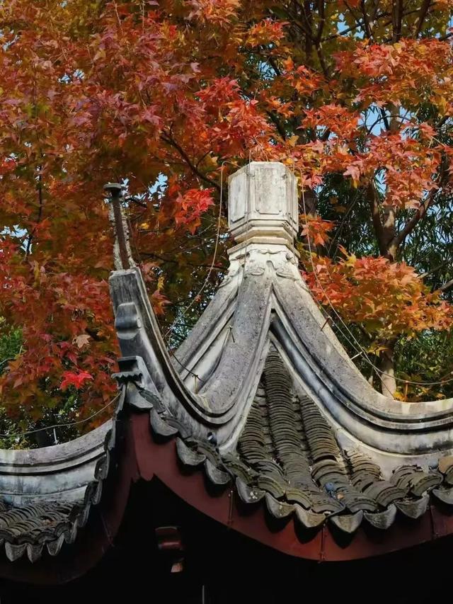 怎么能错过秦淮的秋天呢？