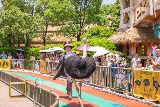 桂林融创乐园海世界，这样玩！