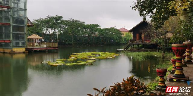 岁暖时刻丨瑞丽“一寨两国”，走一步到缅甸，转个身是家乡