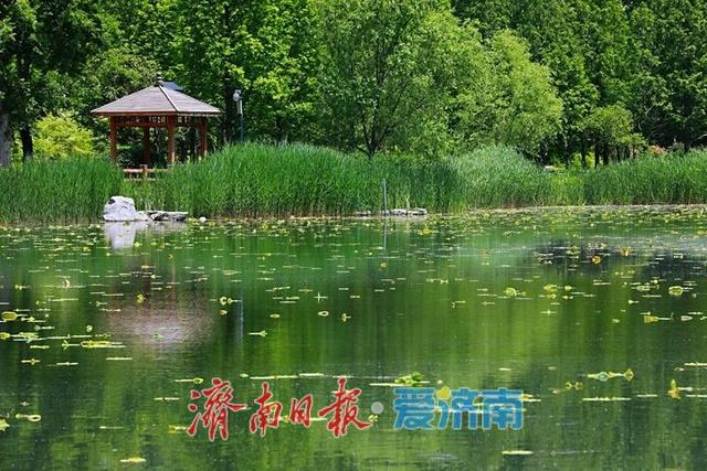公园漫步邂逅秋日浪漫