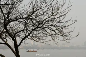 今冬第一波雾霾从何而来？还将多久？记住这几招，保护好自己图片