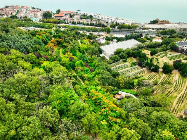 山海一画秋意浓