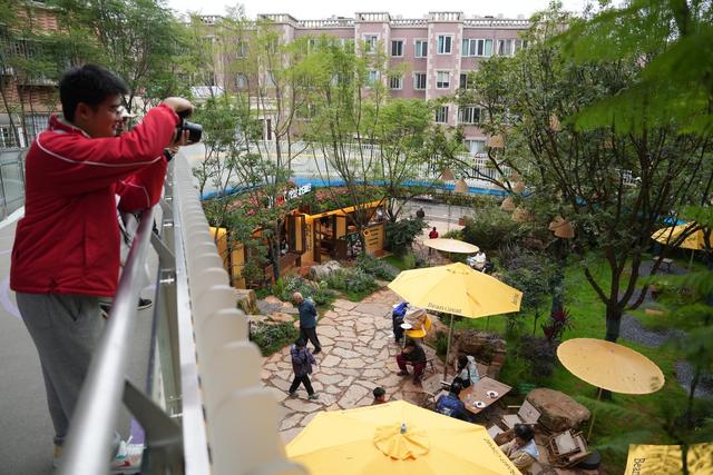 620米空中廊道串起千年风华，翠湖城市绿道展露昆明新脉动