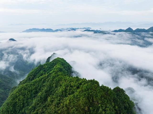 保康：云海漫山巅 泼墨绘仙卷