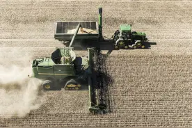 “我们非常依赖中国市场，很想看到它回来”图片